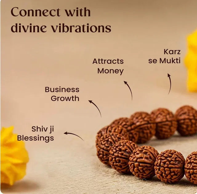 Kaliva 7 Mukhi Rudraksha Bracelet – Wealth, Protection & Shani Energy Bracelet for Men & Women